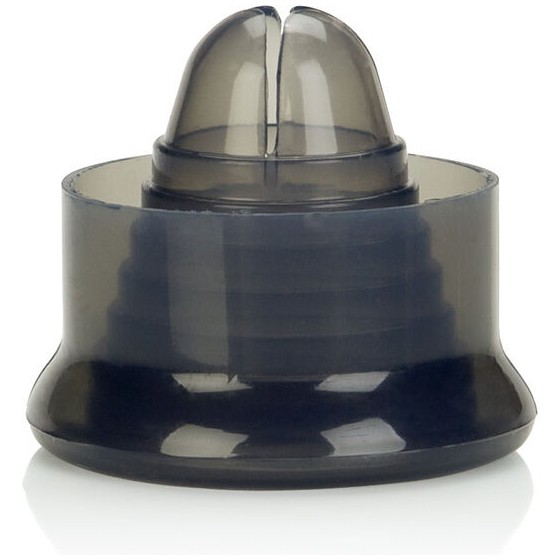 CALEXOTICS - UNIVERSAL...