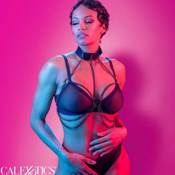 CALEXOTICS - EUPHORIA ARNÊS...