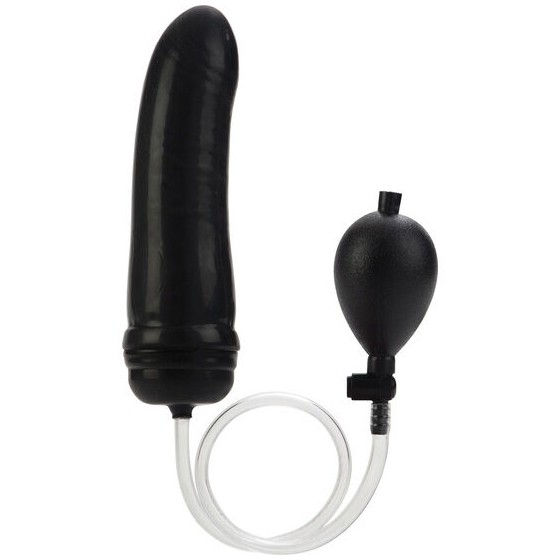 CALEXOTICS - PLUG ANAL...
