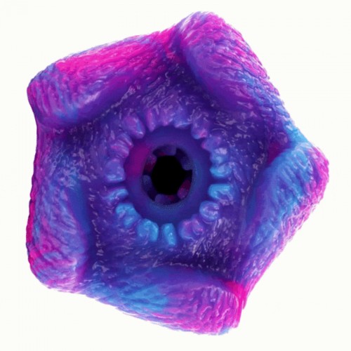 EPIC - THETIS CYCLOPS MALE...