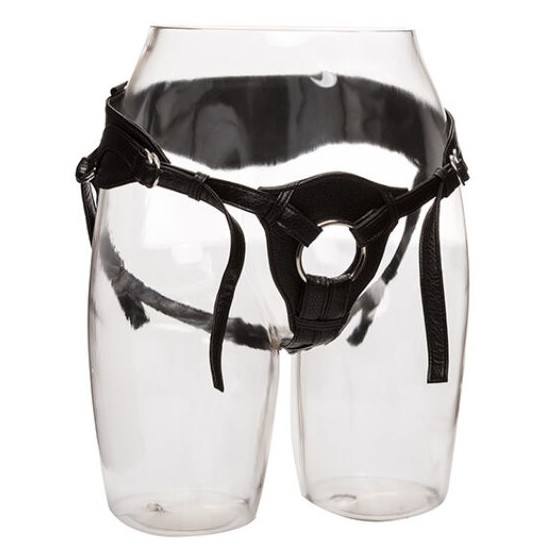 CALEXOTICS - AQUI ROYAL...